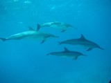 Pousada em Fernando de Noronha